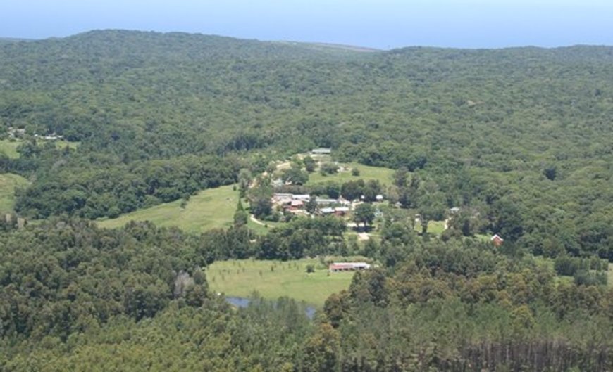Harkerville Forest Lodge Hostel