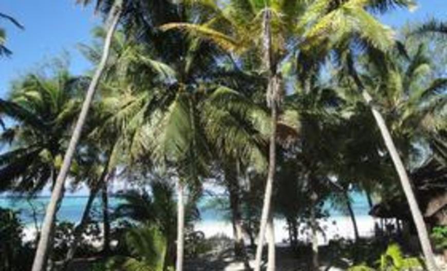 Panga Chumvi Beach Resort