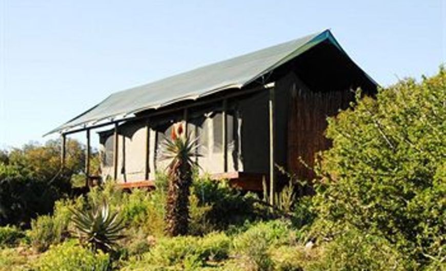Buffelsdrift Game Lodge