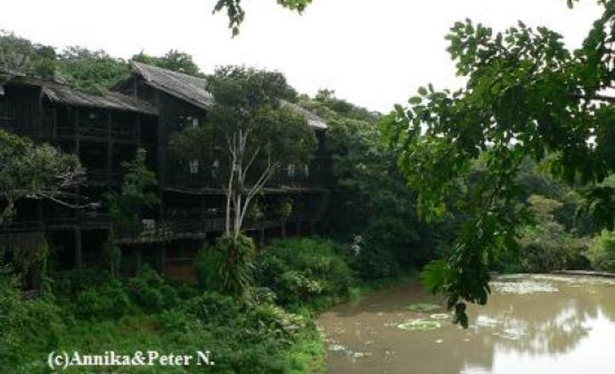 Shimba Rainforest Lodge