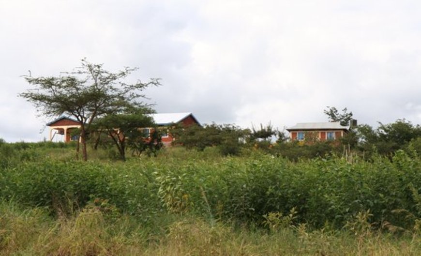 Tanzanice Farm Ranch