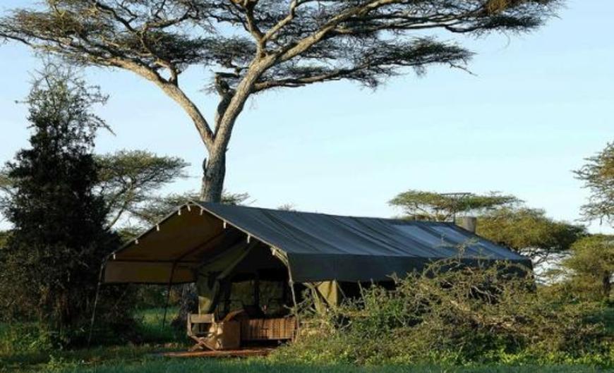 Serengeti Safari Camp Campground